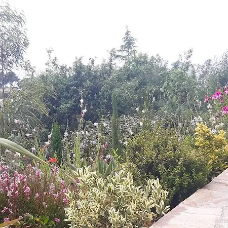 Anadine - Aiguebonne Boulouris - Pleine Vue - A 5 Minutes A Pied De La - Climatisee Villa *